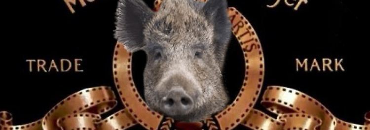wildschwein-MGM.jpg