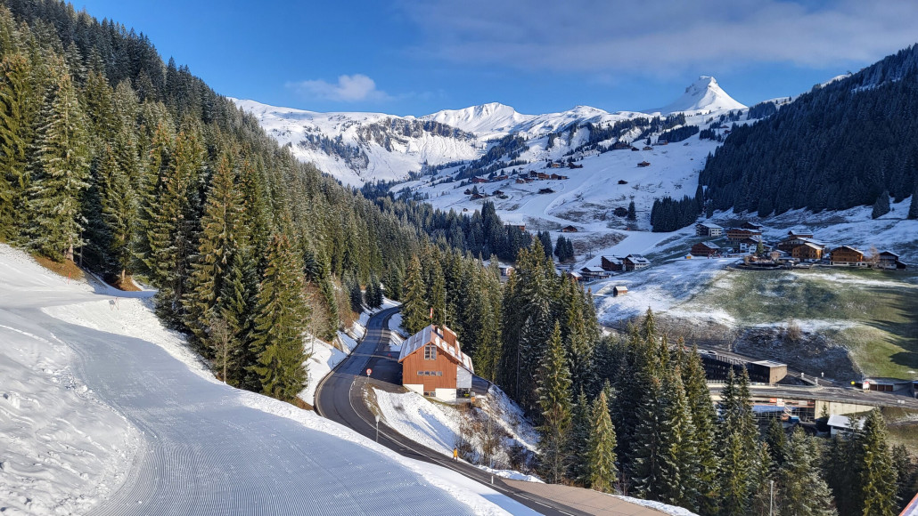 20230409_082241 1.jpg