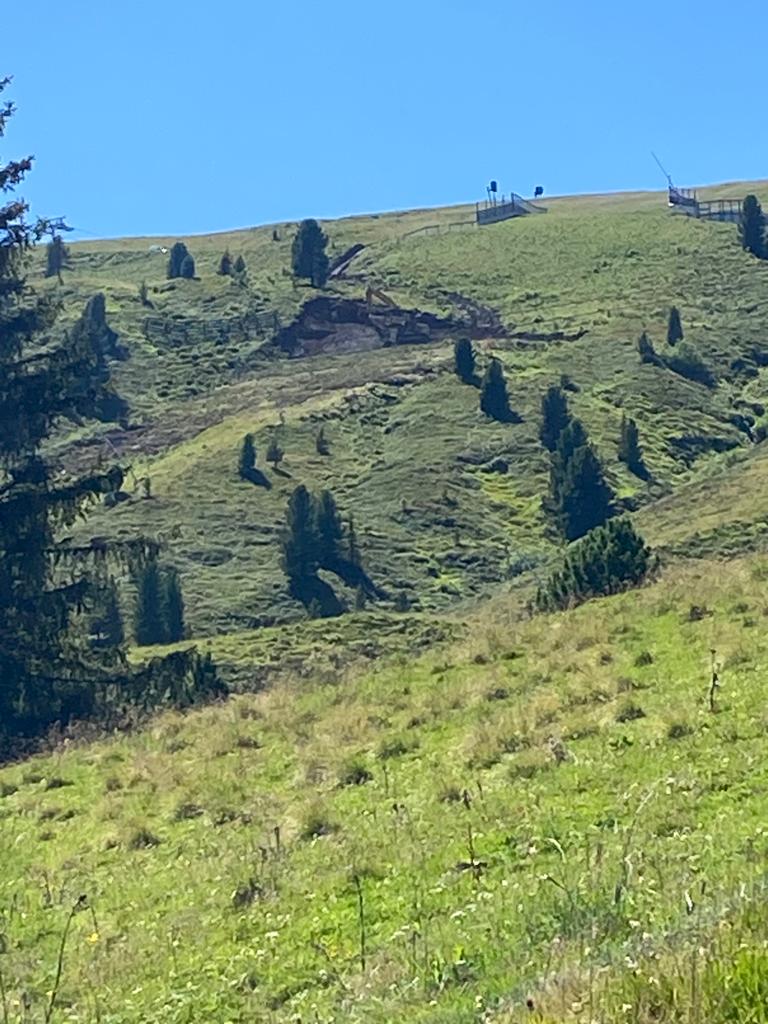 WhatsApp Image 2023-08-15 at 18.25.45.jpeg