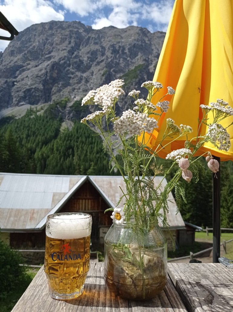 Am 28.07. ein Elfaseidla auf der Dadaint Alm, bevor es in die Uina-Schlucht geht.