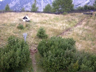 die trasse vom dach aus