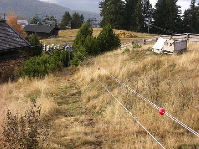 die trasse von berg richtung tal, man sieht die große stütze vorm baum