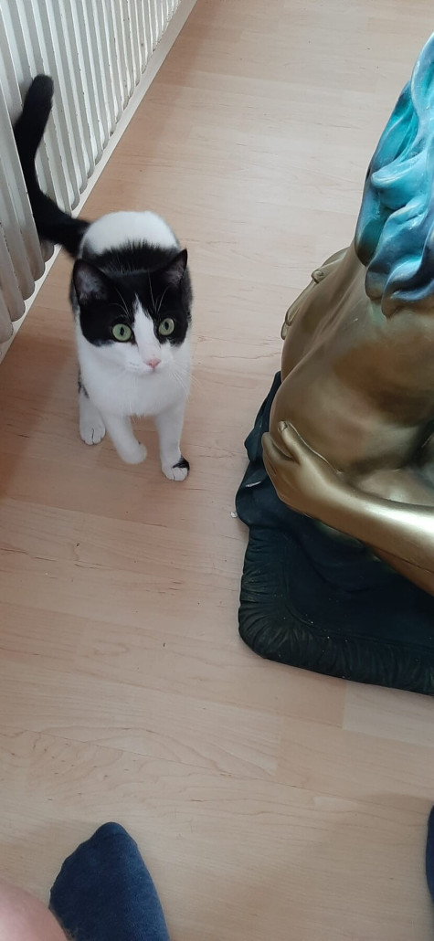 WhatsApp Bild 2023-06-19 um 16.16.08.jpg