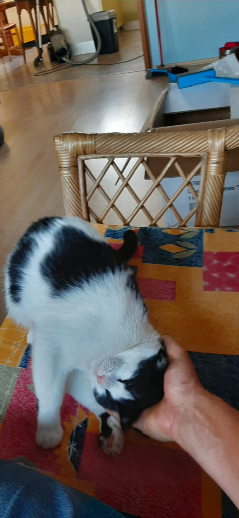 WhatsApp Bild 2023-07-14 um 2ö0.14.06.jpg