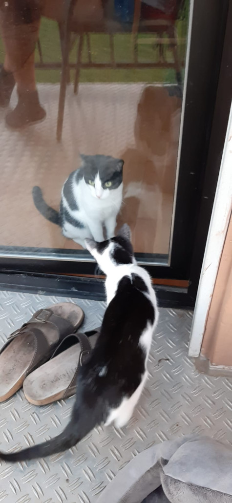 WhatsApp Bild 2023-09-07 um 19.54.12.jpg