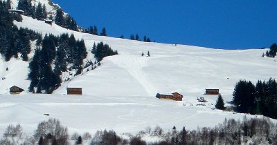 Abriss der Sesselbahn Cungieri: Die Stützen des oberen Streckenbereiches in Reih und Glied bei der ehemaligen Schlittelbahn