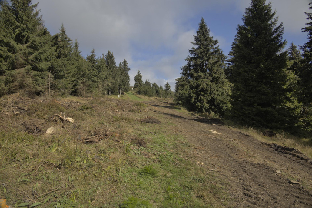 Nachfolgendes Teilstück ebenfalls im Rückblick.