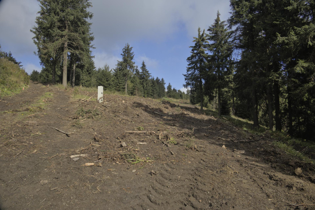 Der Verteilerkasten stand vor drei Wochen noch im Wald.