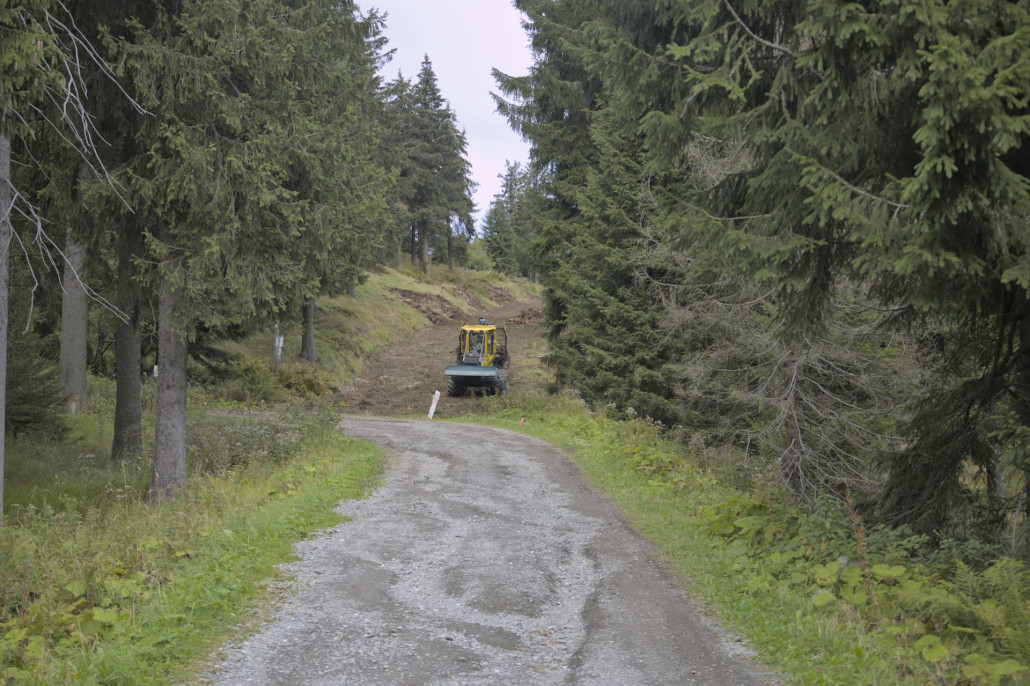 Vereinigung mit Abfahrt 3 / Skiheimstraße