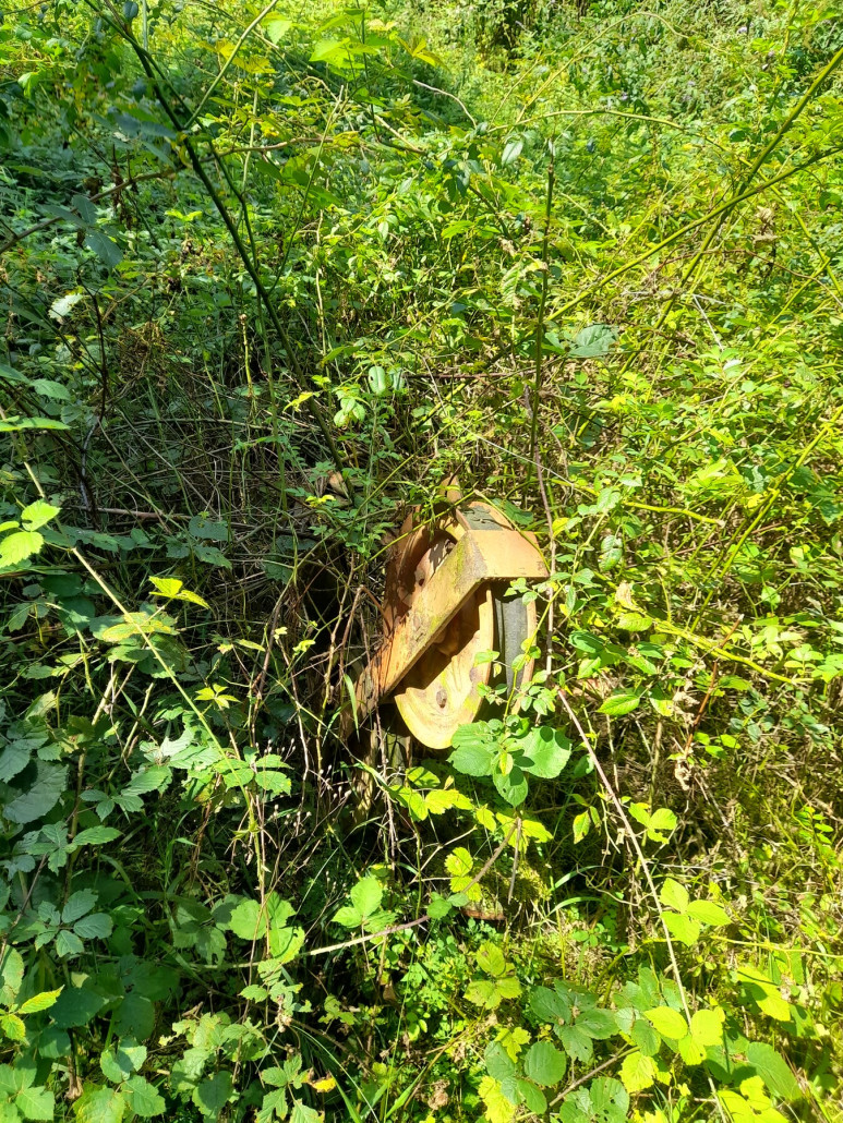 Robas nahe der Talstation