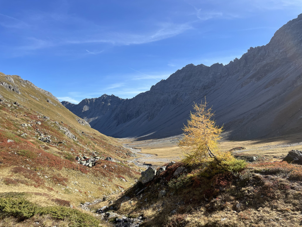 Ansprechendes Farbenspiel. Durch die Ebene fliesst die Plessur. Ich wusste gar nicht, dass der Fluss in diesem Bereich entspringt.