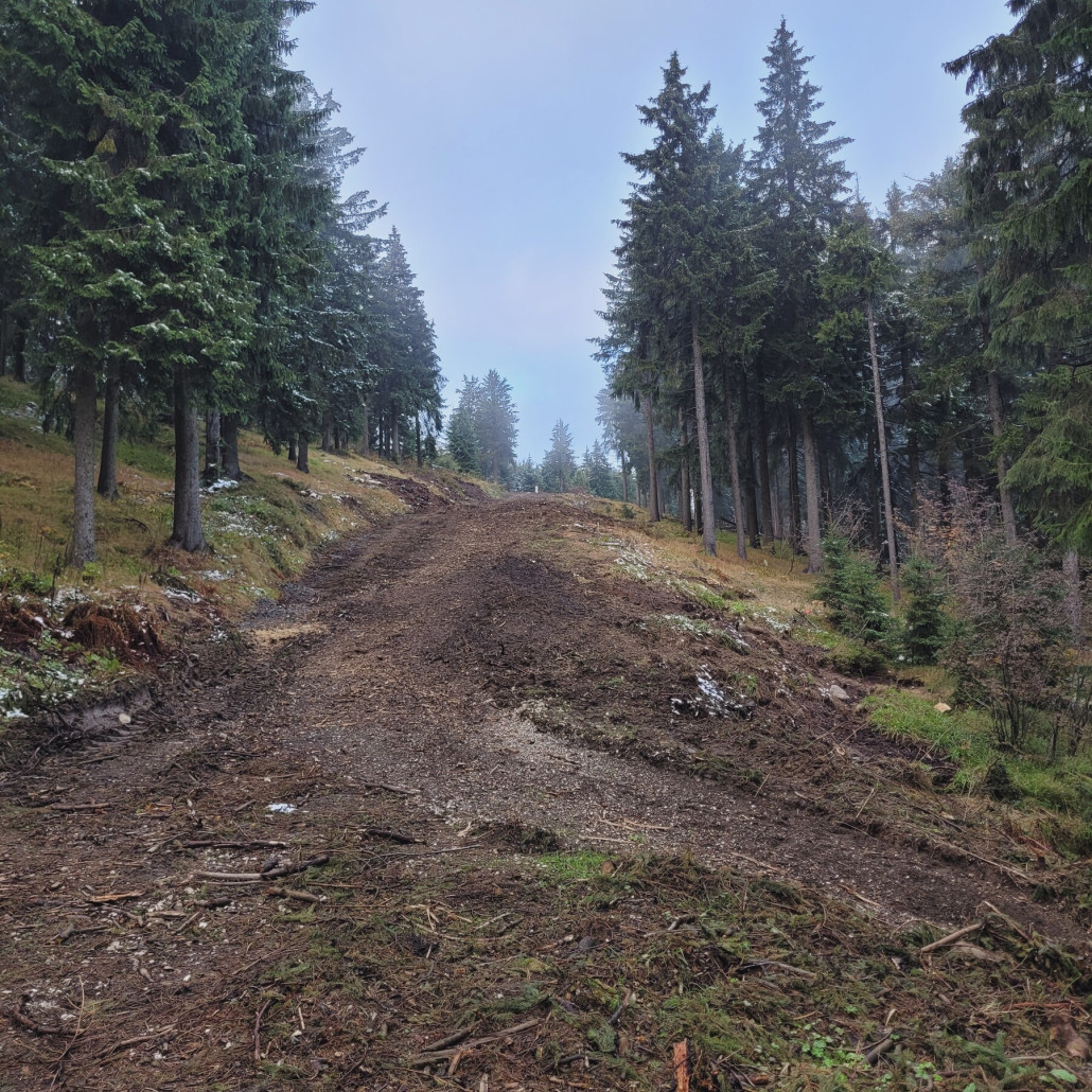 Blick bergwärts von der Einmündung in den Skiheimweg