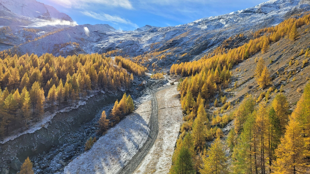 Lärchenwald an der Talabfahrt