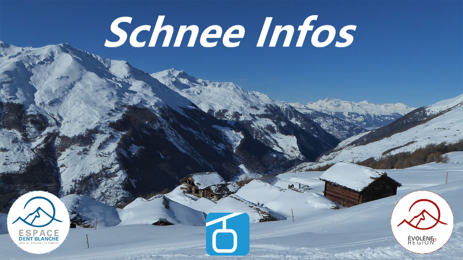 banniere_alpinforum_2324.png