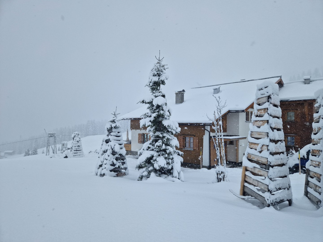 1Run_2023_LZTG_by_Markus_Hahn (58).jpg