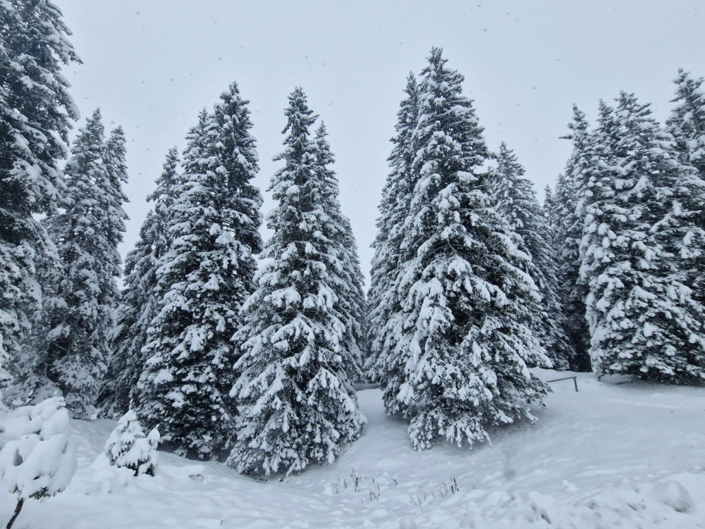 1Run_2023_LZTG_by_Markus_Hahn (67).jpg