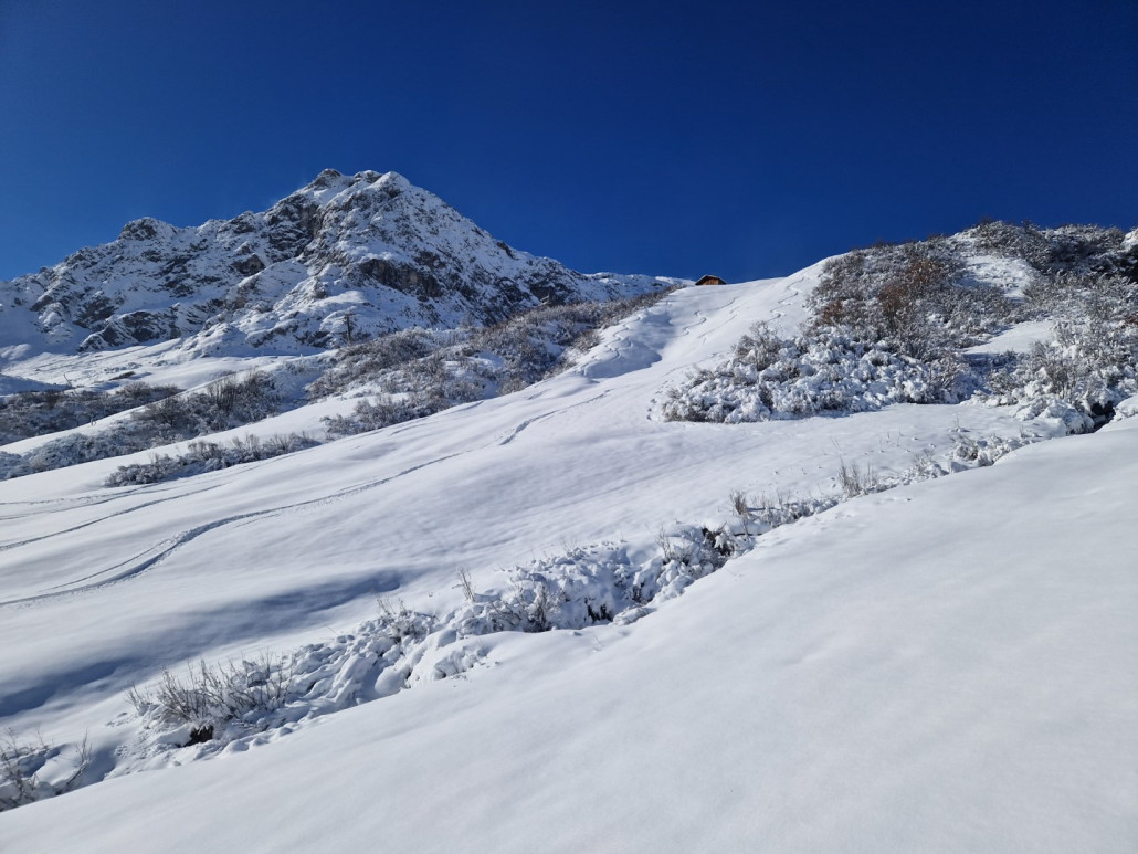 2Run_2023_LZTG_by_Markus_Hahn (15).jpg