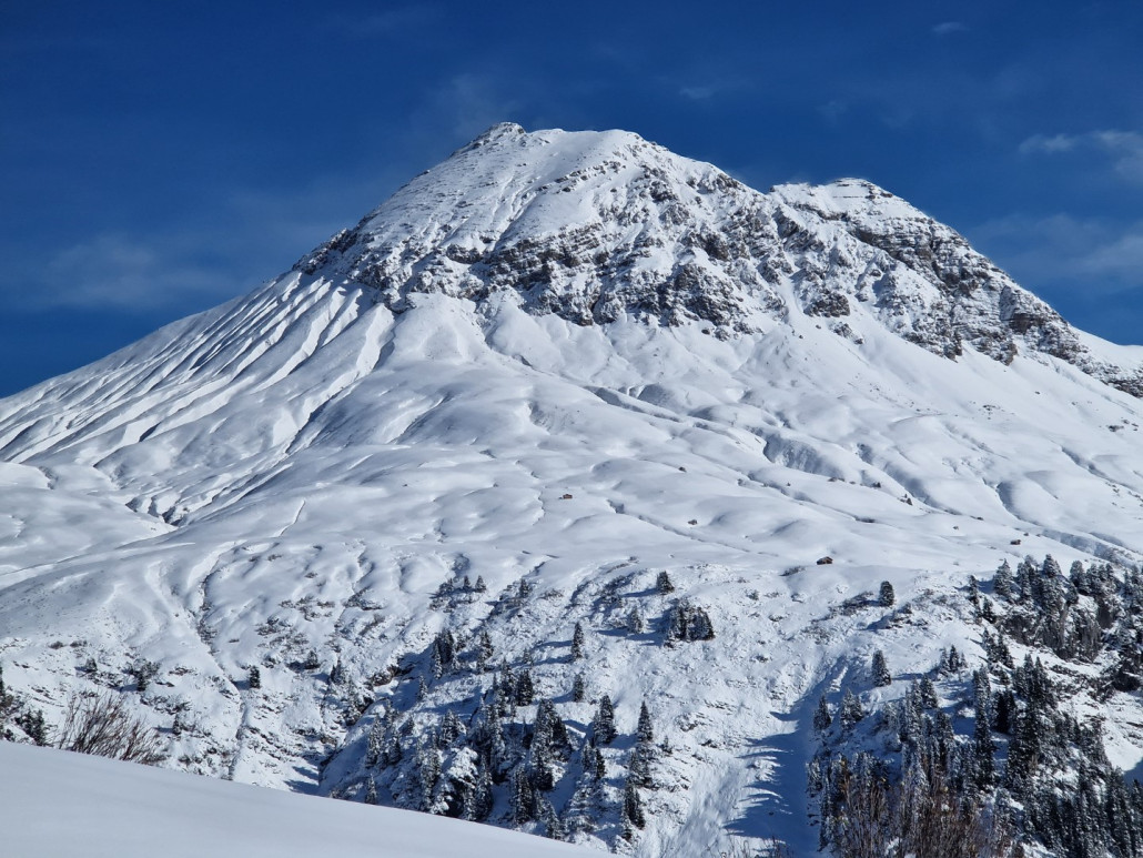 2Run_2023_LZTG_by_Markus_Hahn (17).jpg