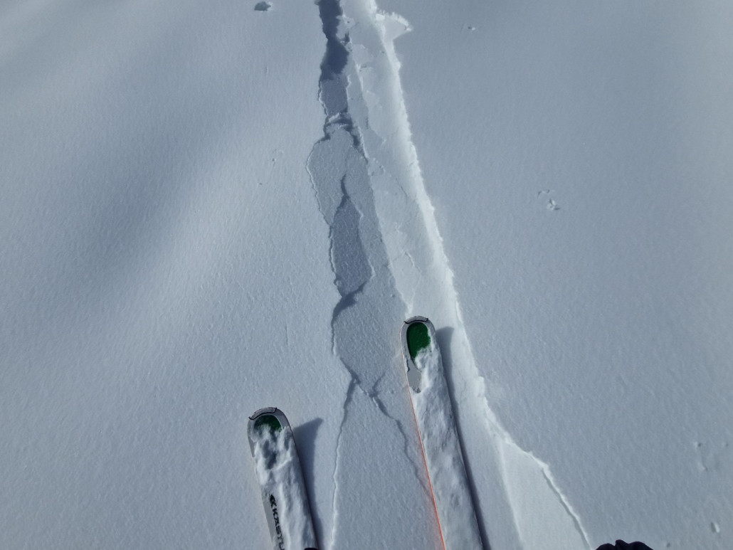 2Run_2023_LZTG_by_Markus_Hahn (35).jpg