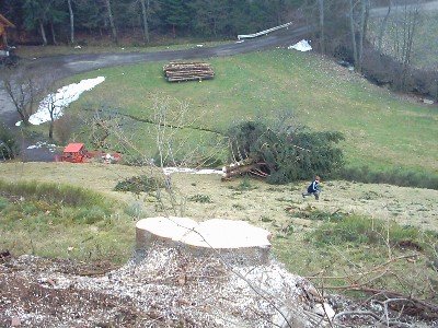 Auch wenns aufm Bild net so aus sieht der Baum liegt ca. 30 m weiter unten ;)