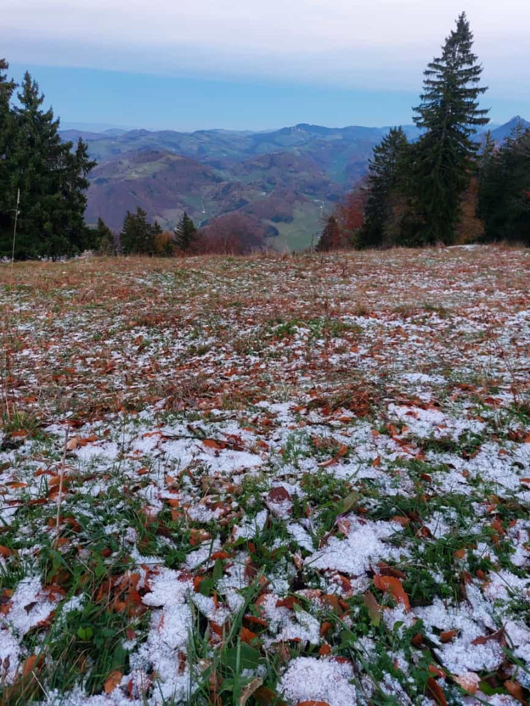 WhatsApp Bild 2023-11-12 um 18.28.24_3f1a6a9a.jpg