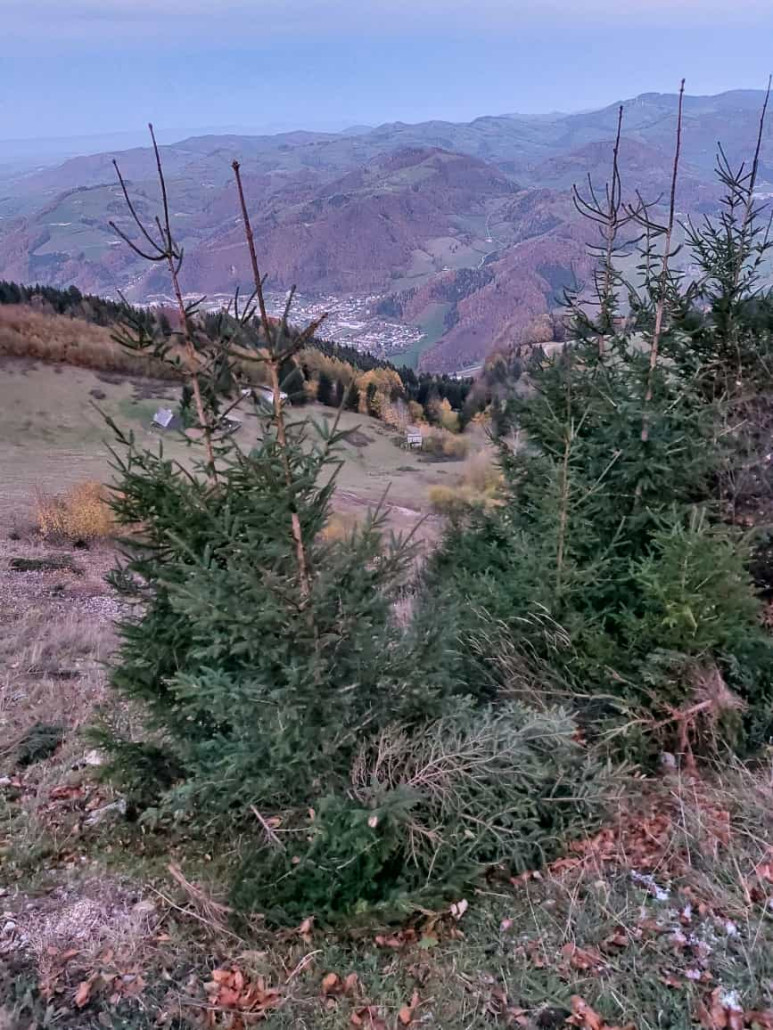 WhatsApp Bild 2023-11-12 um 18.28.24_f5581ced.jpg