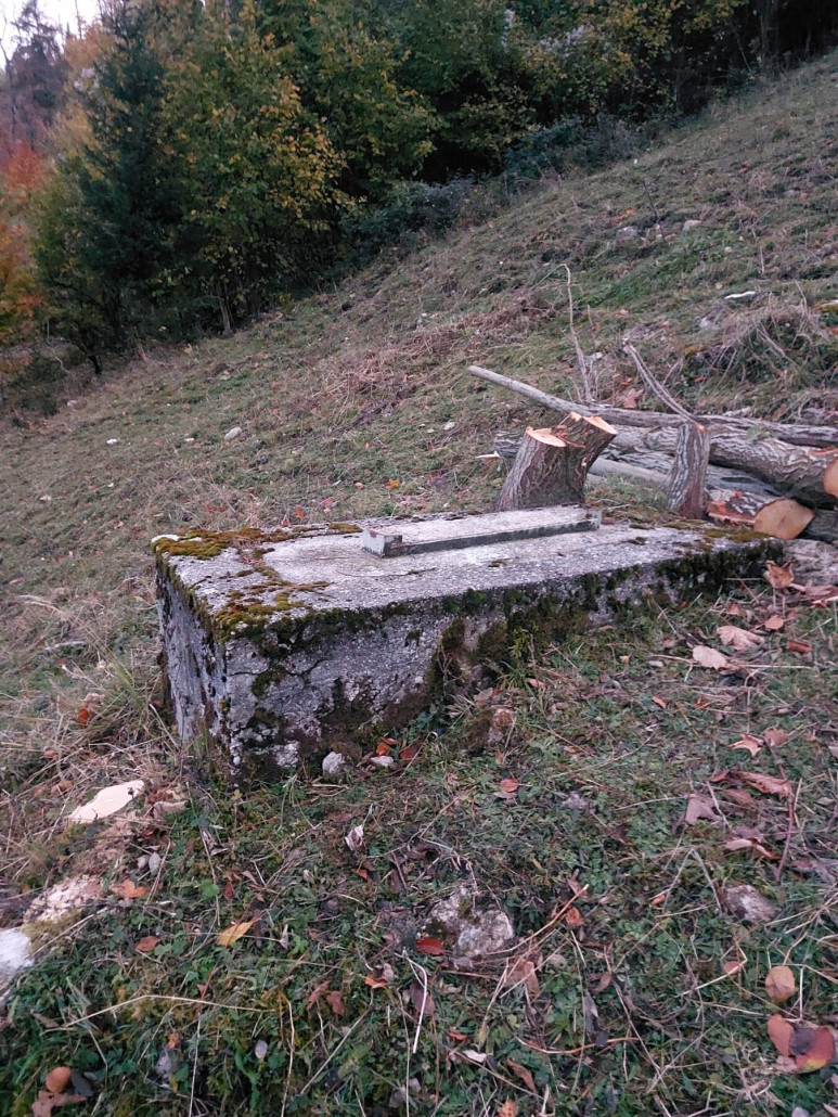 WhatsApp Bild 2023-11-12 um 18.28.25_743cb4ea.jpg