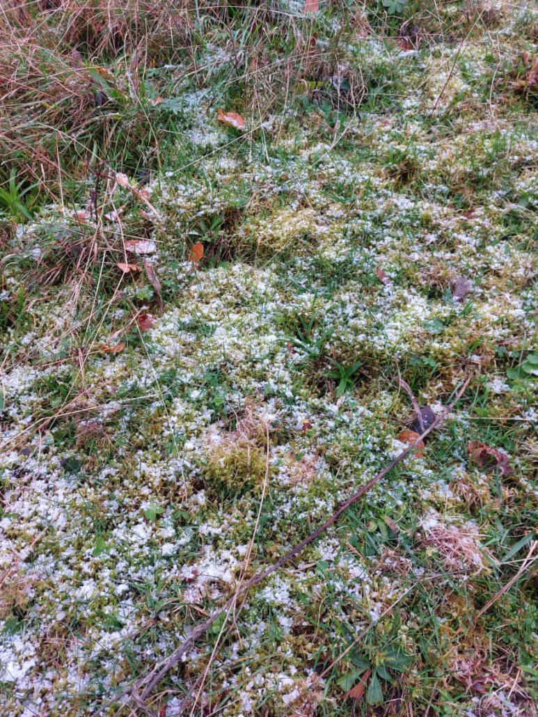 WhatsApp Bild 2023-11-12 um 18.28.20_c8a5b6ff.jpg