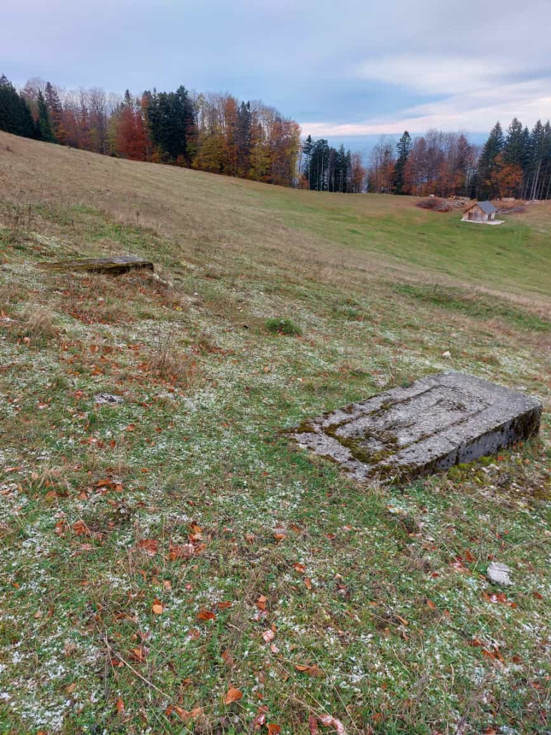 WhatsApp Bild 2023-11-12 um 18.28.22_35fa533f.jpg