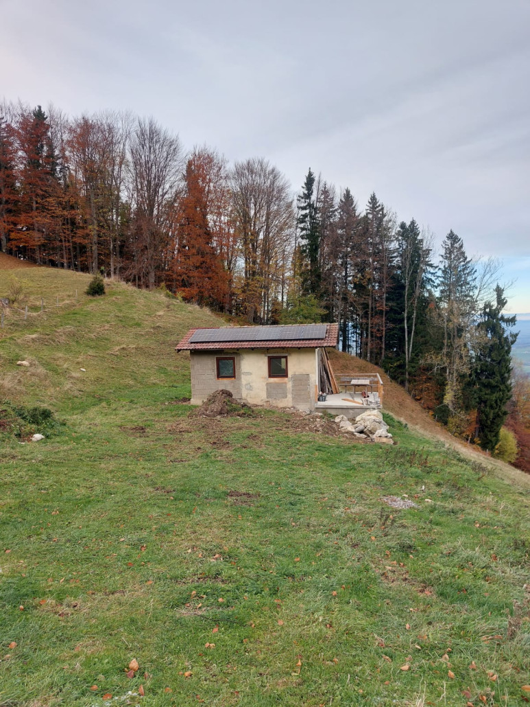 WhatsApp Bild 2023-11-12 um 18.28.22_01186b93.jpg