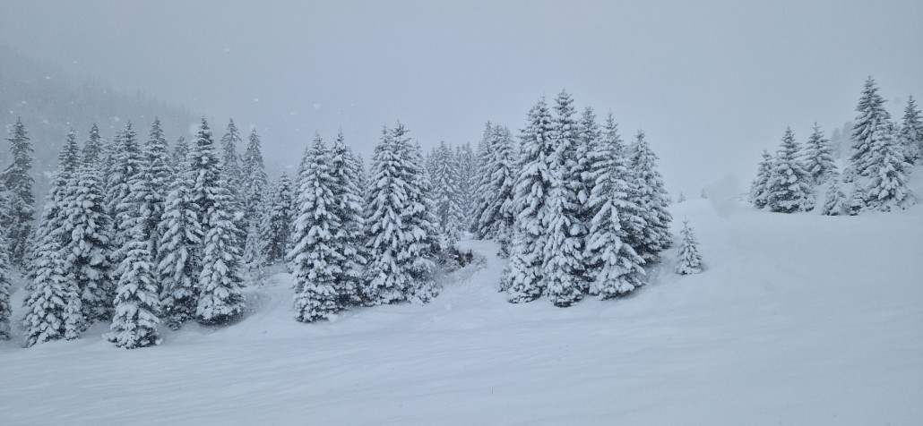 Winterwonderland_November_2023_LZTG_by_Markus_Hahn (16).jpg