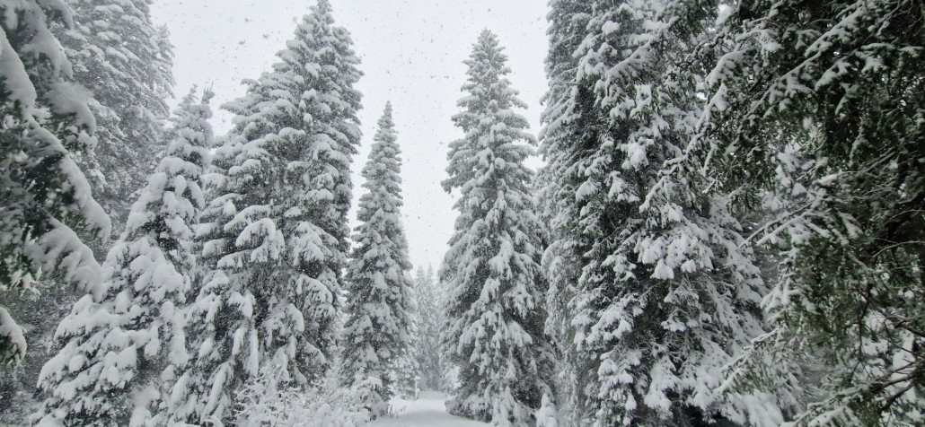 Winterwonderland_November_2023_LZTG_by_Markus_Hahn (67).jpg