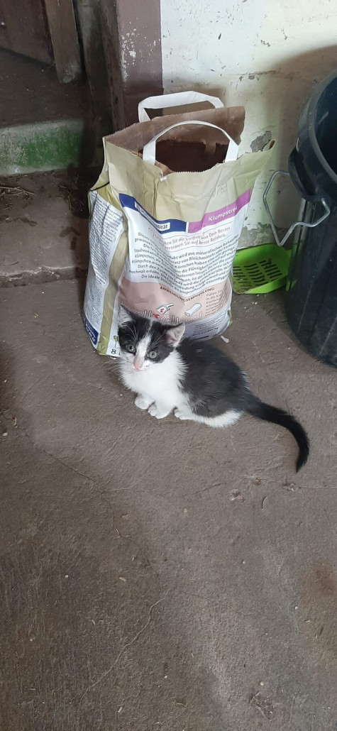 WhatsApp Bild 2023-11-17 um 06.47.37_b00335fd.jpg