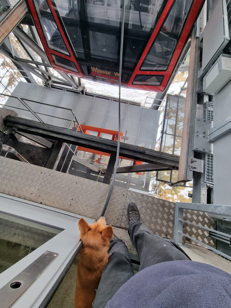 WhatsApp Image 2023-11-09 at 11.24.22.jpeg