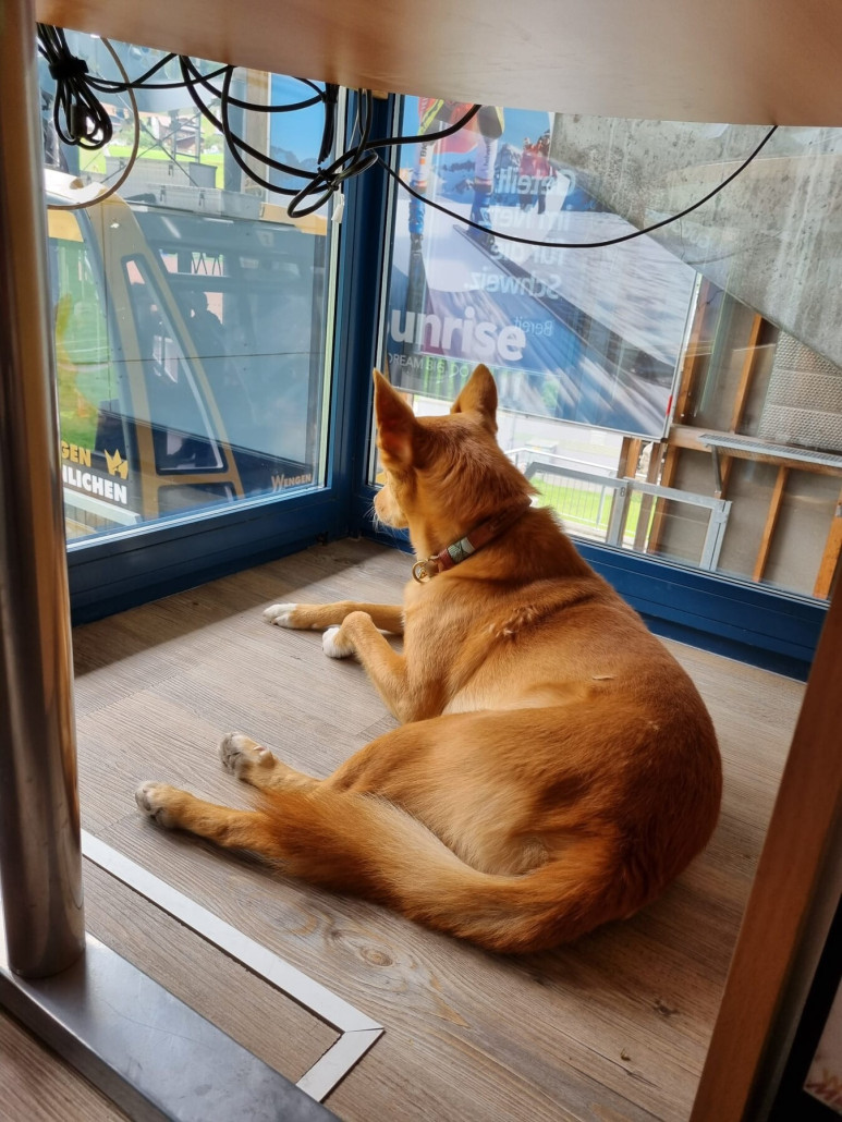 WhatsApp Image 2023-09-21 at 14.12.47.jpeg