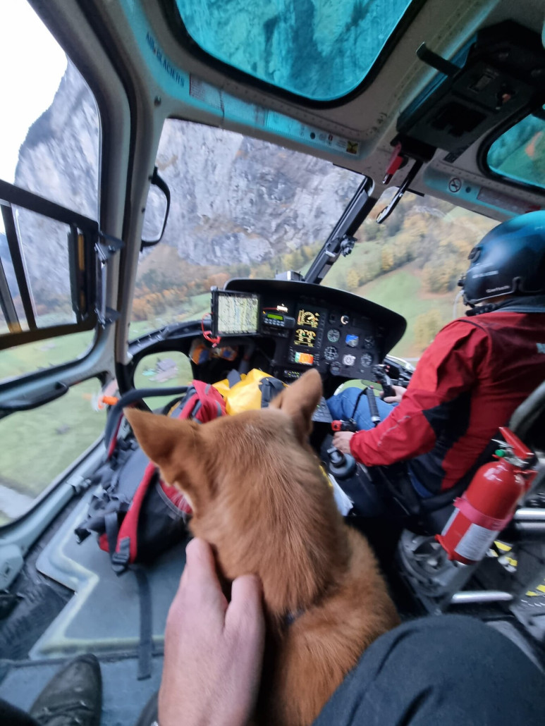 WhatsApp Image 2023-11-07 at 09.44.10.jpeg