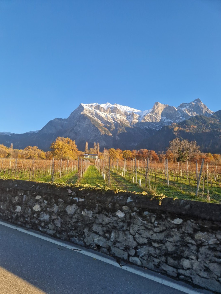 Davosschneehatte_2023_by_Markus_Hahn (3).jpg