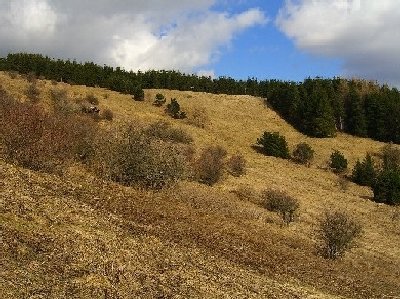 nochmal der Hang des Fuldaer-Lifts