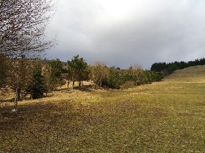 Is das ne &amp;quot;angedeutete Flutlichtanlage&amp;quot;??!! Sah irgendwie komisch aus...