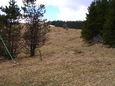 Die künftige Verbindung... wie die das dort genau machen wollen weiß ich jetzt auch noch nicht