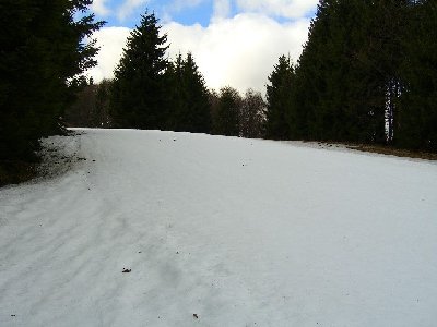 unterer Verbindungsweg trifft auf die &amp;quot;Piste 1&amp;quot; des Hanauer Lifts, wo doch noch erstaunlich viel Schnee lag