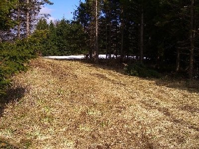 mittlerer Verbindungsweg