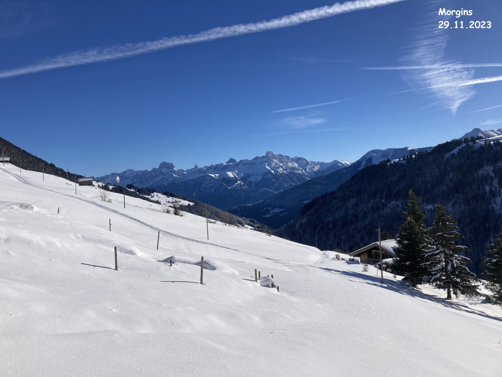 Oberhalb von Morgins mit den Dents de Morcles und dem Grand Muveran im Hintergrund des Bildes