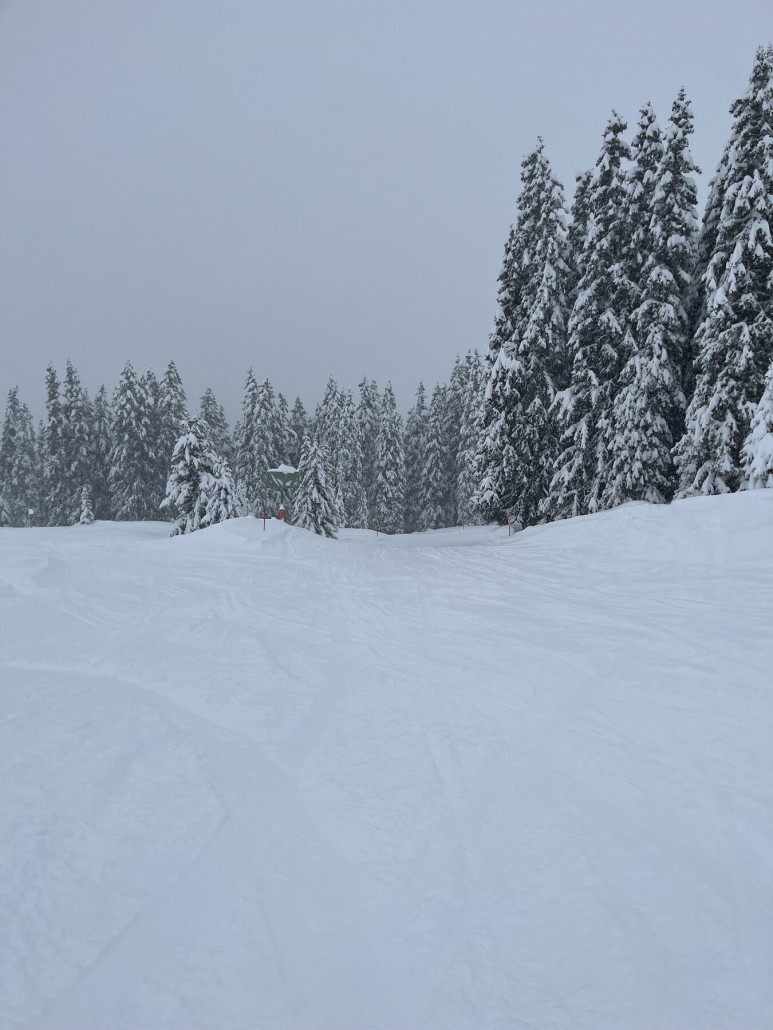 Ich sollte, schliesslich habe ich ja auch die Powderlatten aufgezogen. Hier war ich aber nicht der Erste ;)