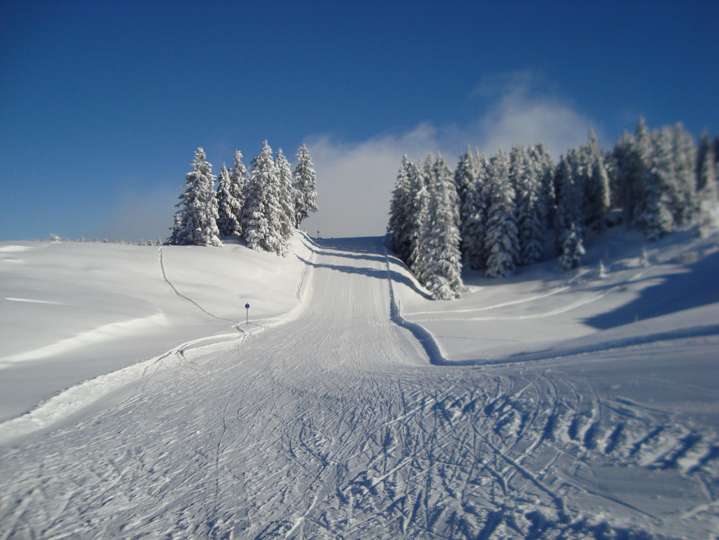 Abfahrt zur Tanzbodenbahn