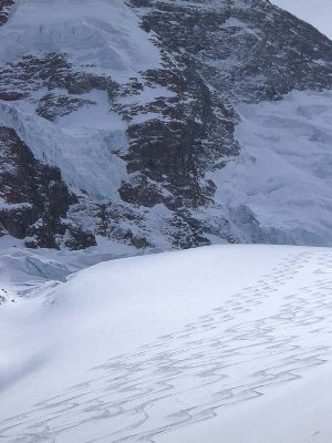 die ganz links sind unsere :-)