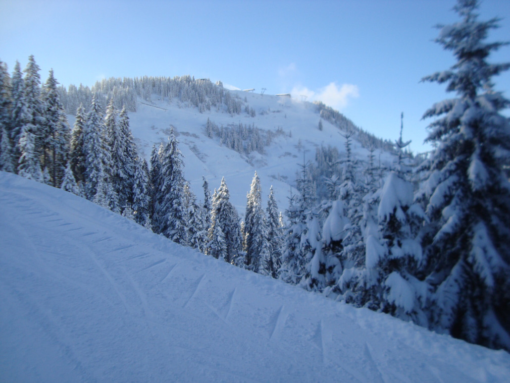 Blick zum Brandstadl