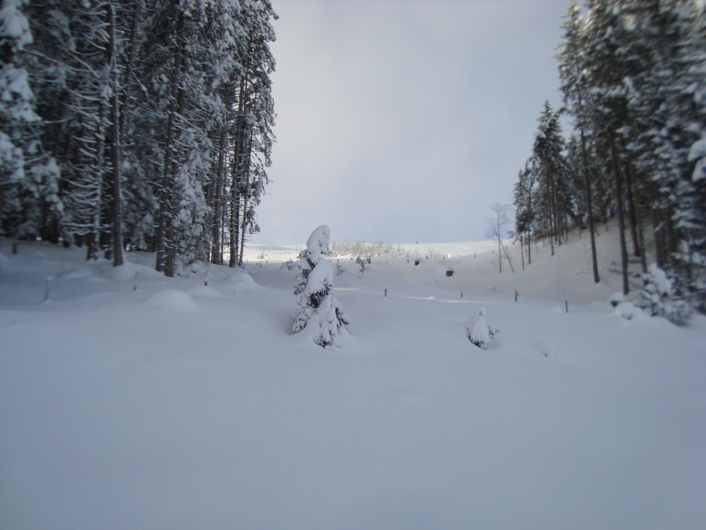 Ranhart Lifttrasse Sessellift