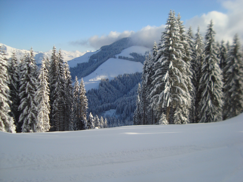 Ranhart Lifttrasse Sessellift