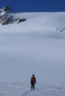 Rechts meine, links die Spur der Freundin - ebenfalls Furgsattel